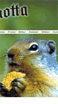 Mobile Screenshot of marmotta.at